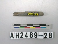 藏品(磨製石針)的圖片